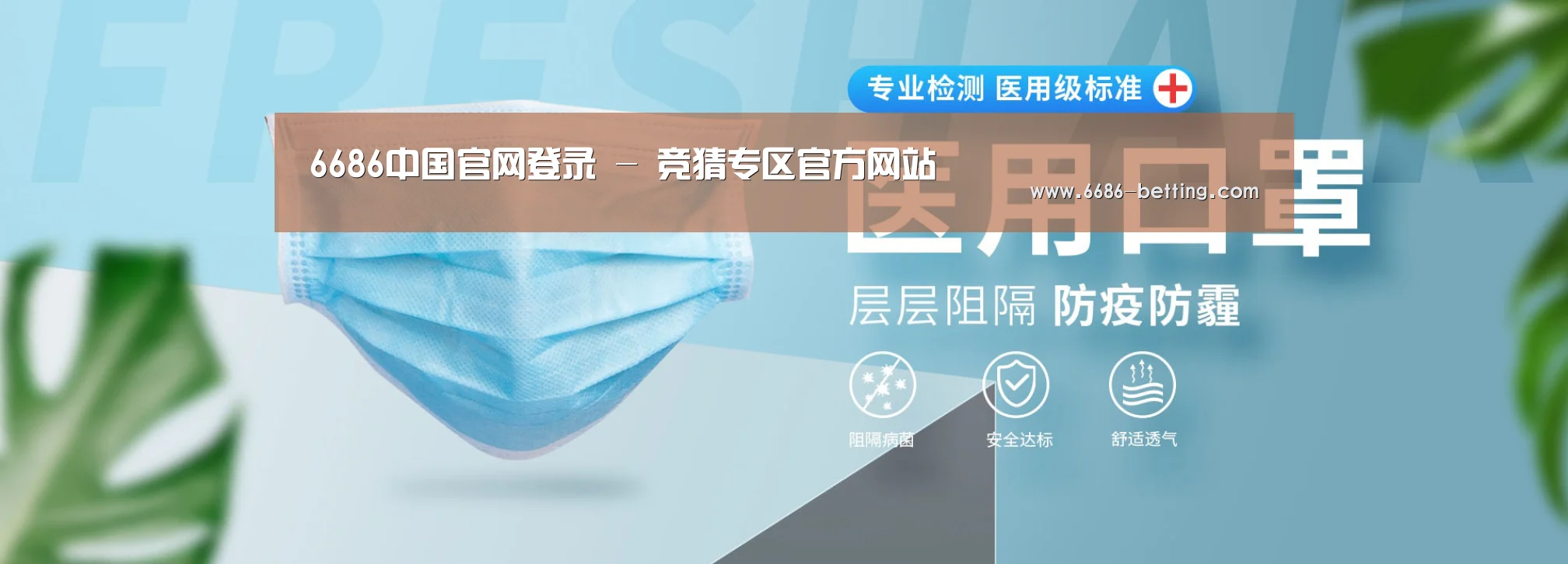 某某口罩防护用品有限公司