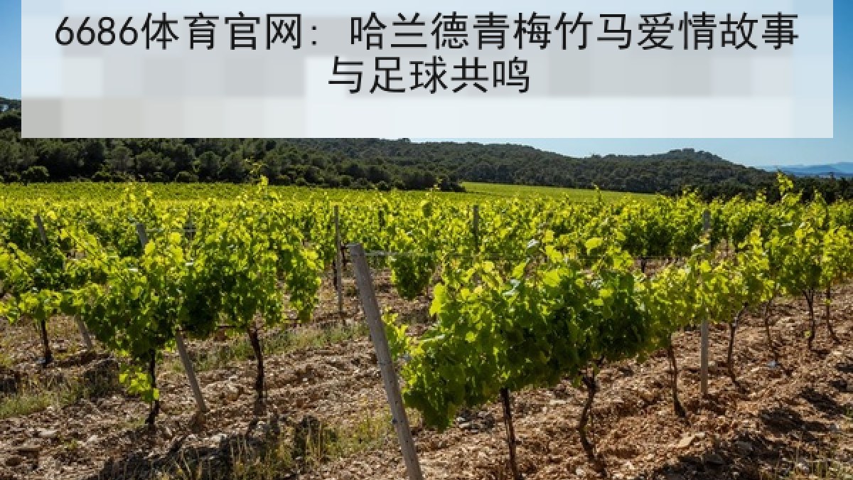 6686体育官网: 哈兰德青梅竹马爱情故事与足球共鸣
