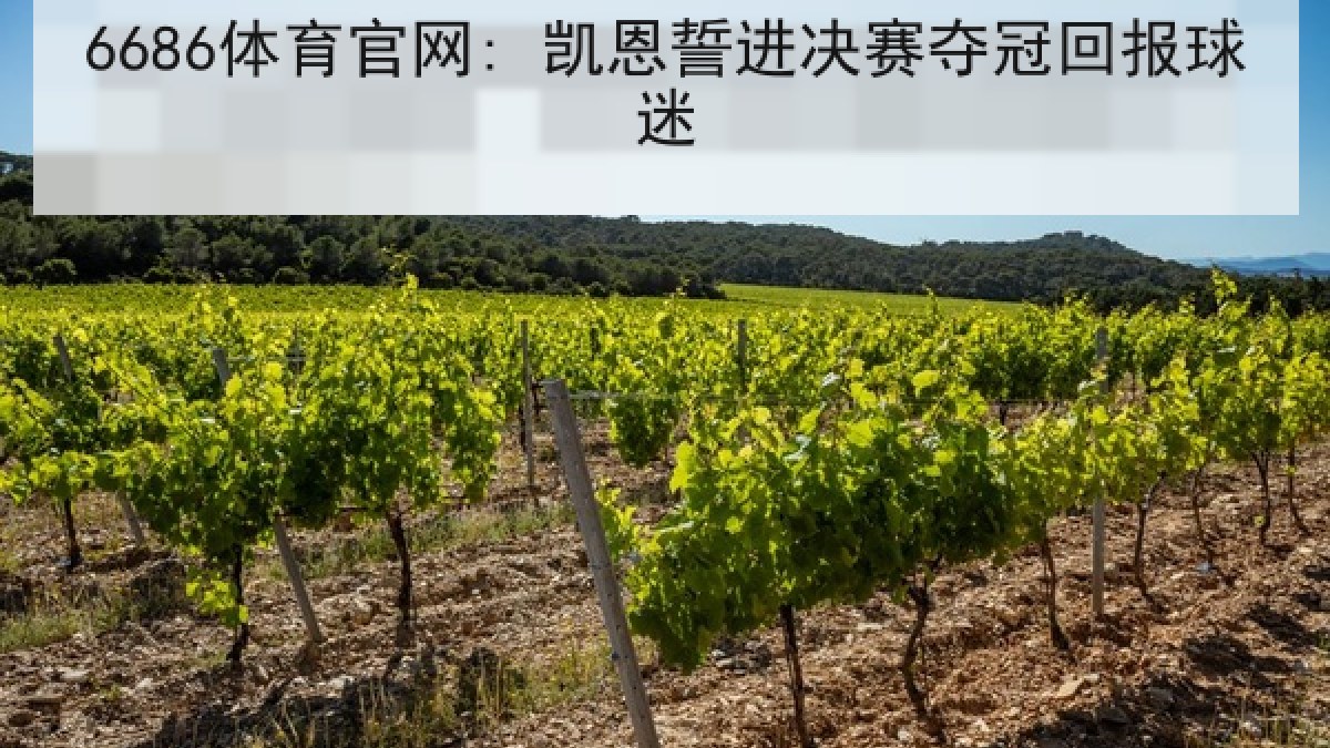 6686体育官网: 凯恩誓进决赛夺冠回报球迷 6686体育官网: 凯恩誓进决赛夺冠回报球迷