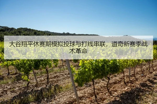 大谷翔平休赛期模拟投球与打线串联，道奇新赛季战术革命