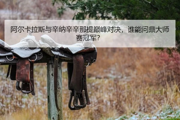 a-er-ka-la-si-yu-xin-na-xin-xin-na-ti-dian-feng-dui-jue-shui-neng-wen-ding-da-shi-sai-guan-jun-2-842.jpg