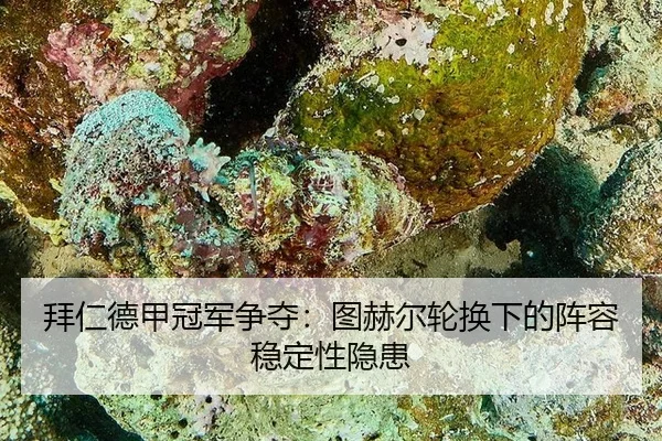 bai-ren-de-jia-guan-jun-zheng-duo-tu-he-er-lun-huan-xia-de-zhen-rong-wen-ding-xing-yin-huan-2-892.jpg