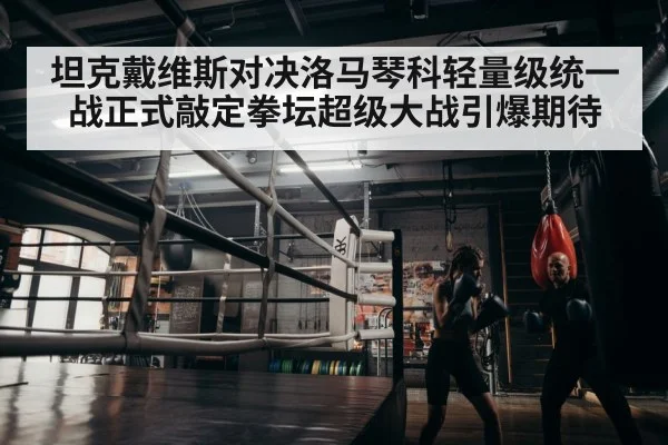 boxer training